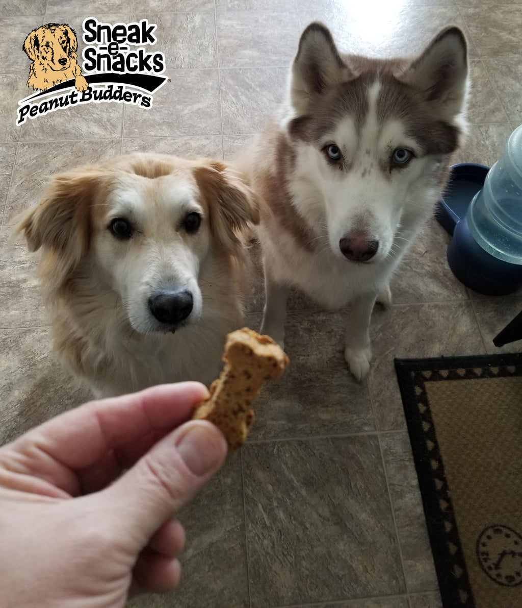 Peanut Budders Dog Treats - Small Bag 1.5 lbs