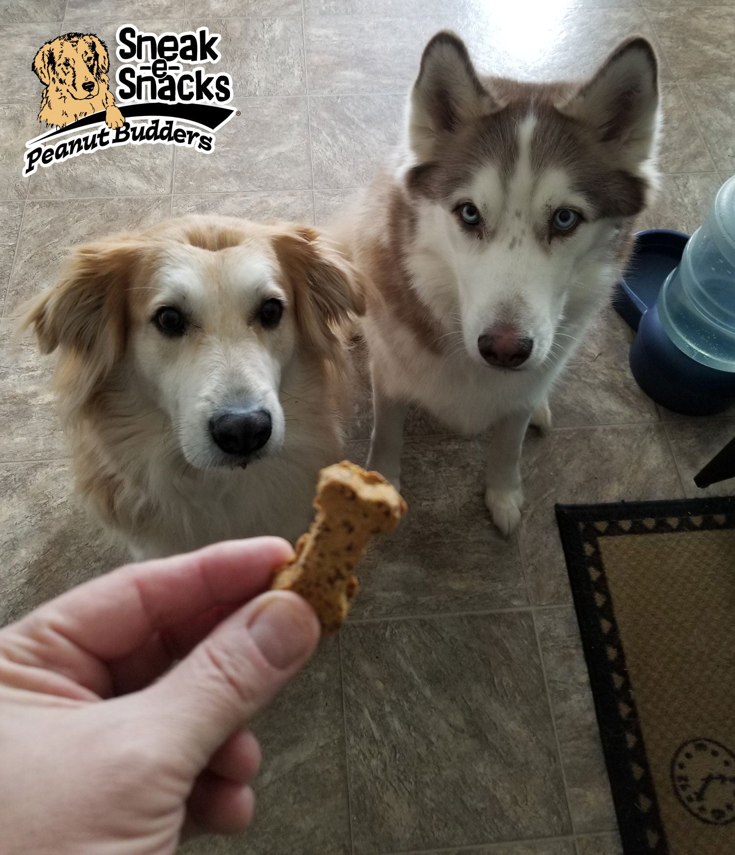 Peanut Budder Dog Treats - Medium Bag 3 lbs