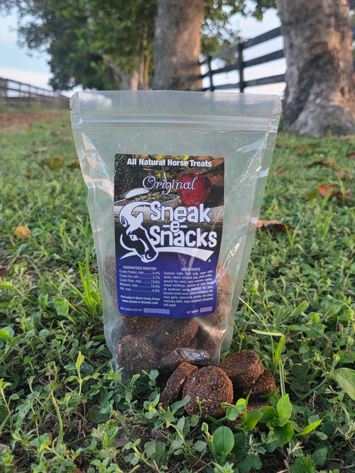 Original Horse Treats - Large Bag 5lbs