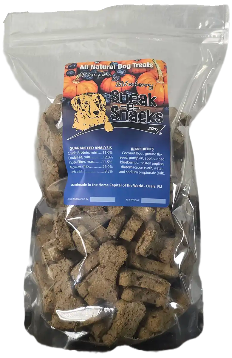 Pumpkin Blueberry Dog Treats - Large Bag 5lbs