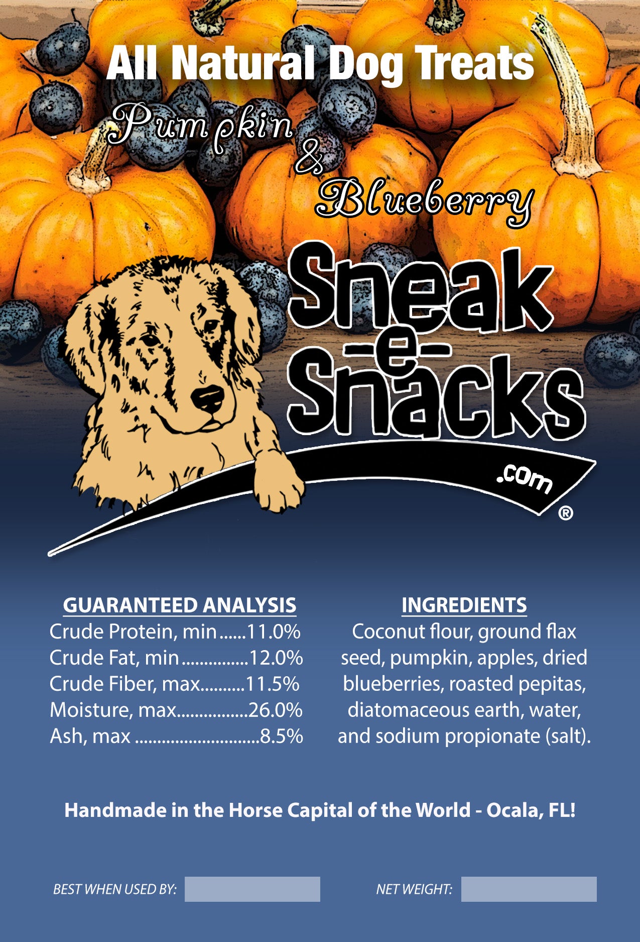 Pumpkin Blueberry Dog Treats - Large Bag 5lbs